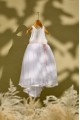 Βαπτιστικό φόρεμα λευκό με ουρά και σάπιο μήλο ζωνάκι